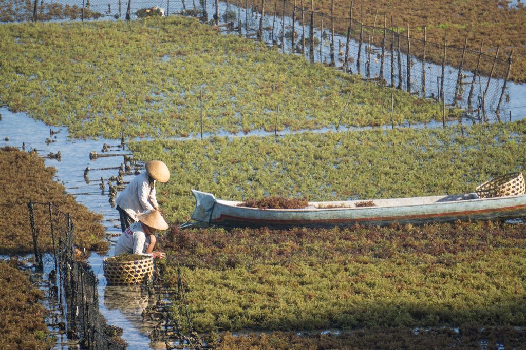 杰尼广场假日公园 蓝梦岛 外观 照片